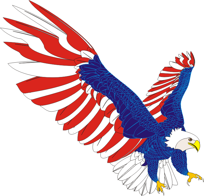 American Merganser Eagle Crow Mallard PNG
