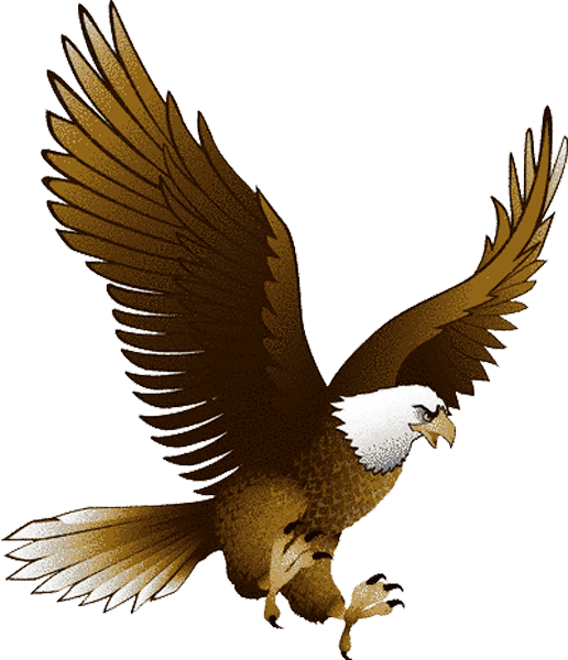 Birdie Transparency Squadron Bird Planet PNG