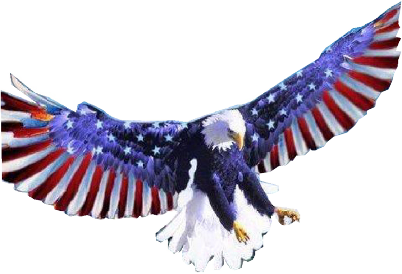 Bogey American Eaglet Pars Curlew PNG