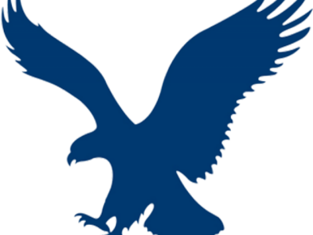 American Egret Raptor Animals Eagle PNG