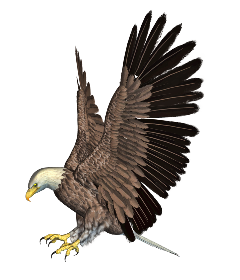 Tree Pars Falcon Dogs Eagle PNG
