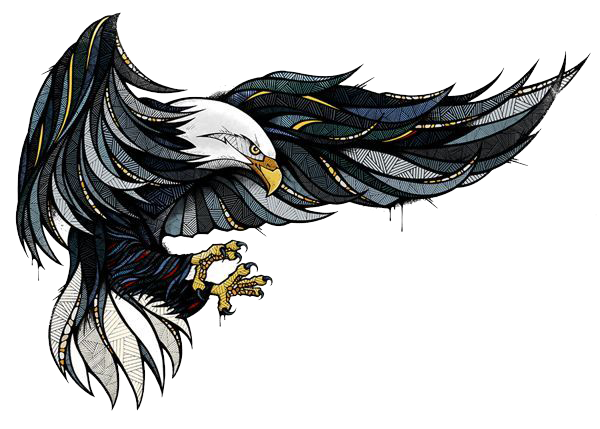 Graphic Feather Longboard Eagle Illustrator PNG