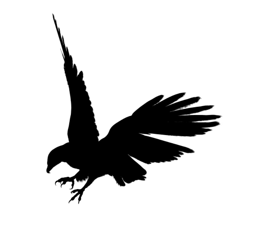 Pets Black Punishment Flight Eagle PNG