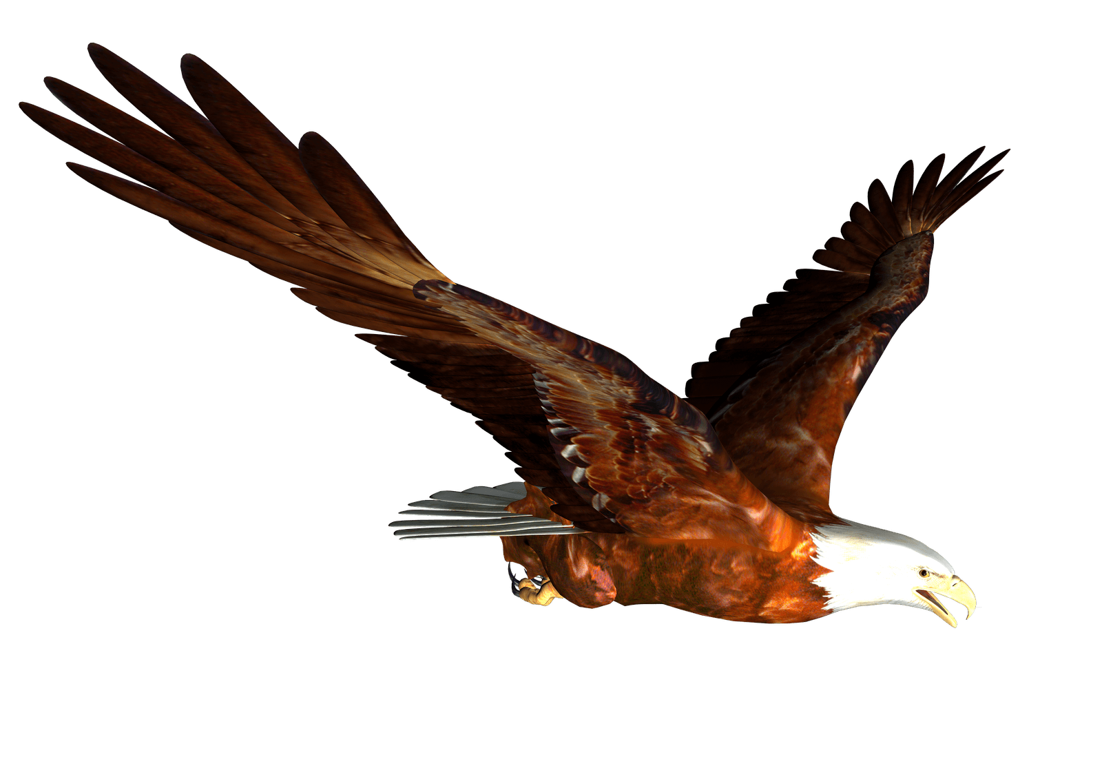 Flying Reptile Heron Falcon Buffalo PNG