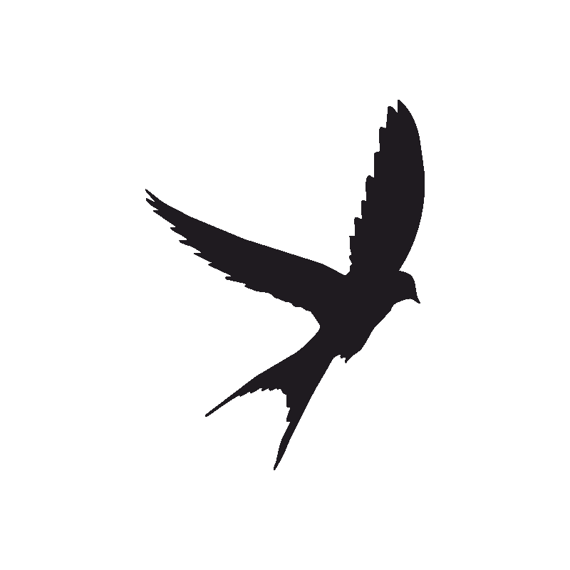 Silhouette Sky Tattoo Bird Swallow PNG