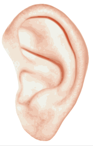 Debris Ear Beer Cute Cool PNG