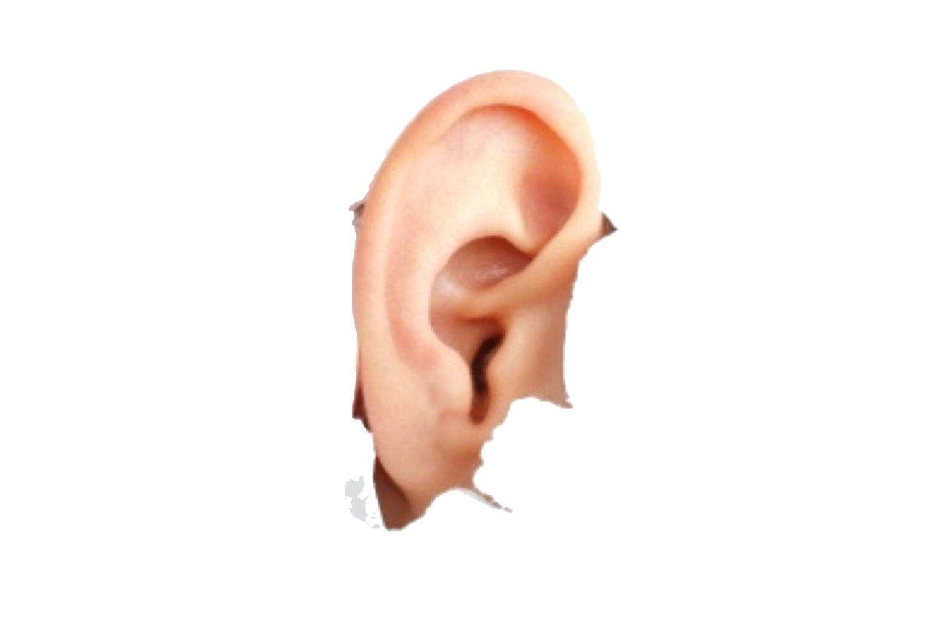 Auricle Ear Human Icon Air PNG