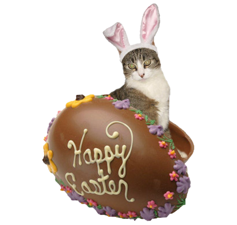 Easter Chocolate Holidays Jenny Bunny PNG