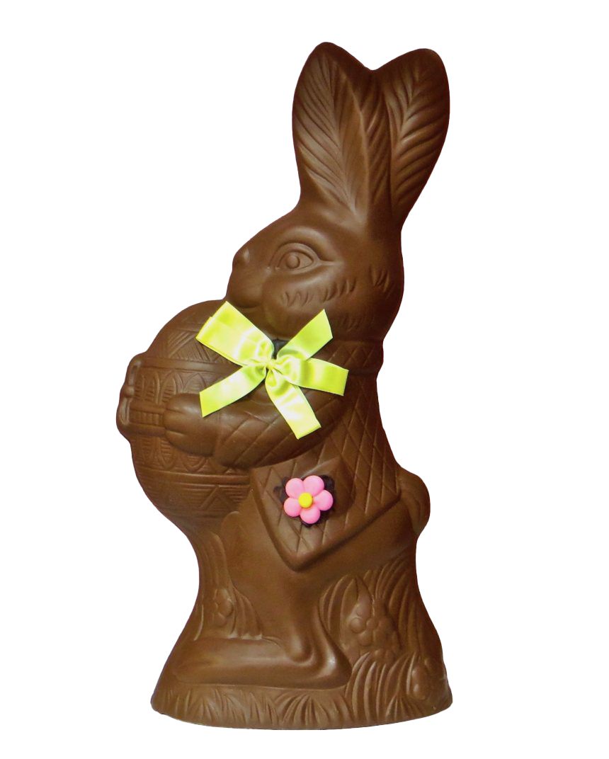 Holidays Thanksgiving Easter File Bunny PNG