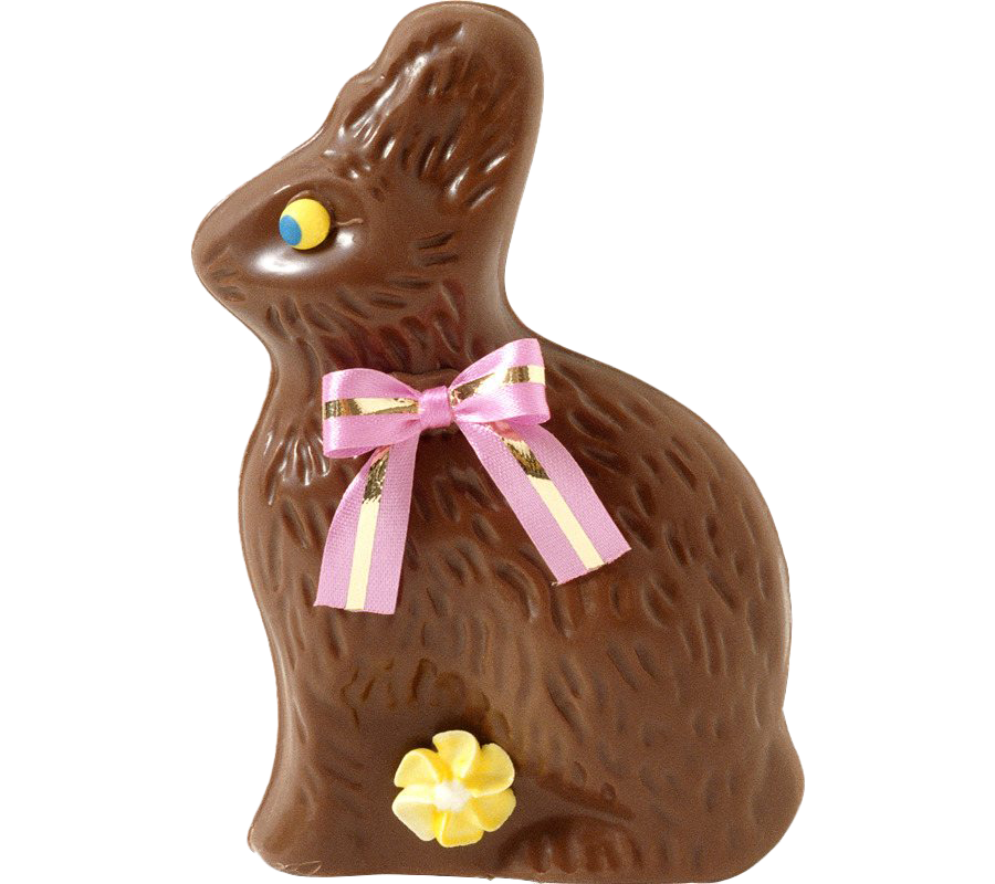 Bunny Easter Holidays Chocolate Wales PNG