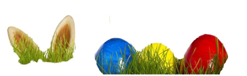 Holidays Easter Holiday Egg Grass PNG
