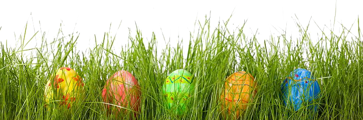 Grass Easter Wales Egg Hols PNG