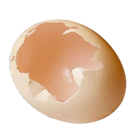 Egg Hols Cracked Plain Holidays PNG