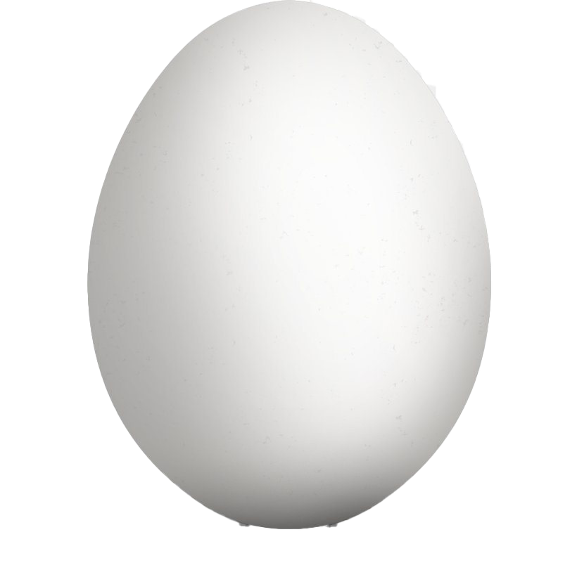 Holidays Egg Holiday Easter White PNG