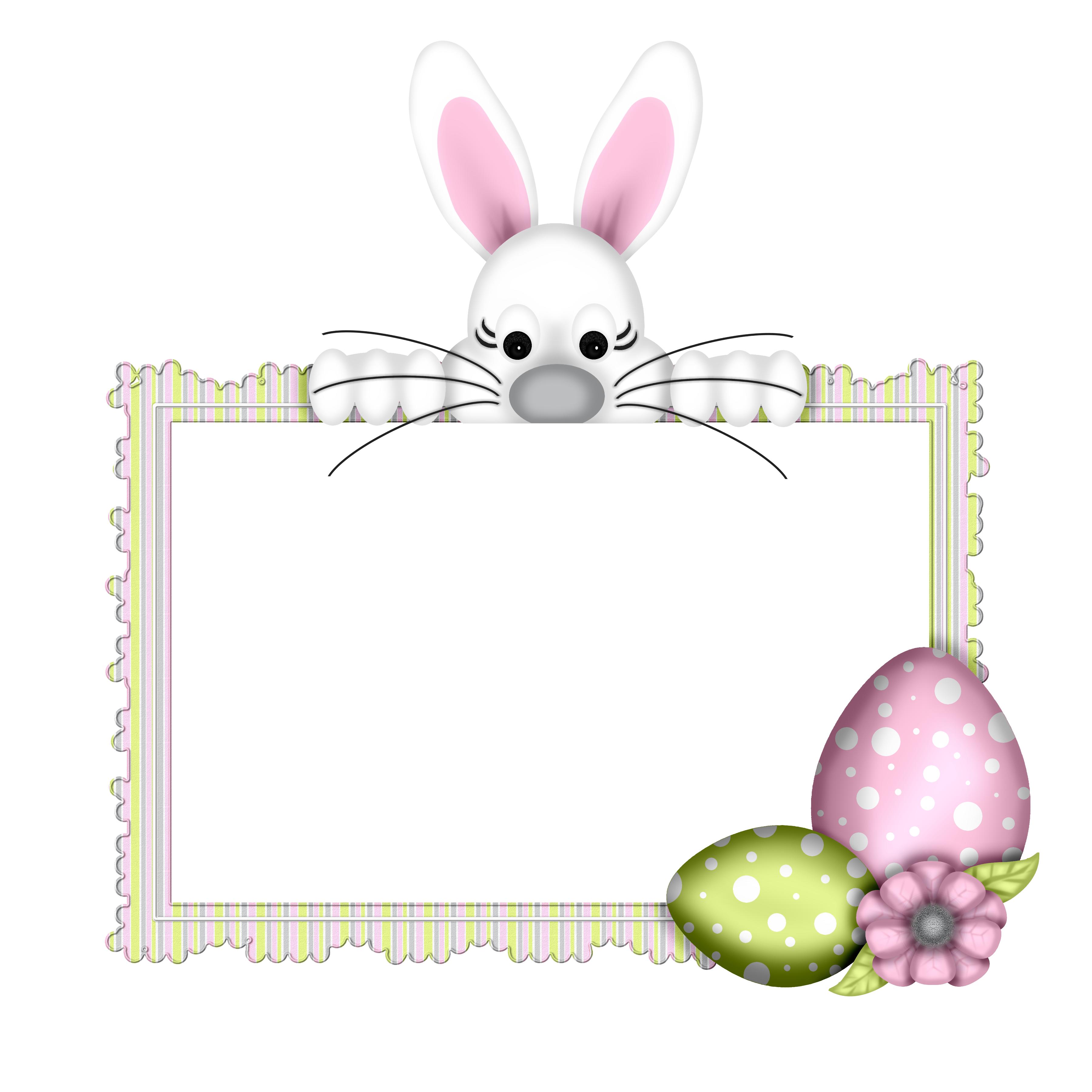 Bunny Egg Tabbies Hare Easter PNG