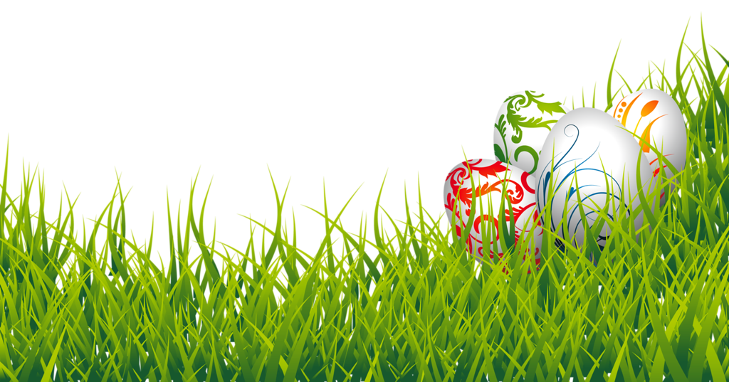 Easter Grass Doomsday Eggs Ovules PNG