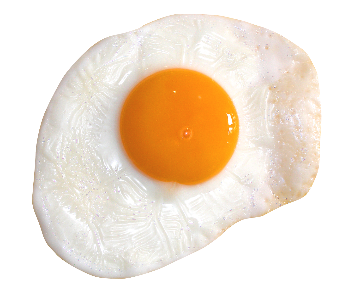 Oven Pullet Fried Brood Custard PNG