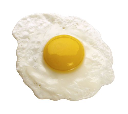 White Egg Custard Milk Shell PNG