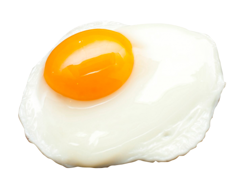 Dome Bloke Ovum Eggshell Food PNG