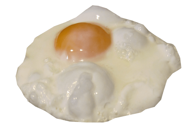 Testis Egg Broiler Food Pumpkin PNG