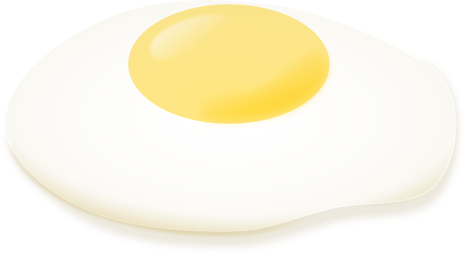 Bridge Shell Ovule Eggshell Fried PNG