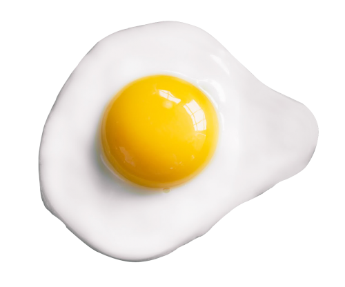 Yolk Food Breeze Egg Testis PNG