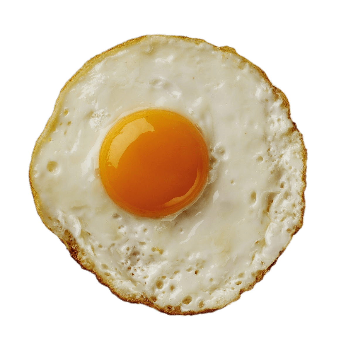 Pullet Testicle Testis Egg Shell PNG