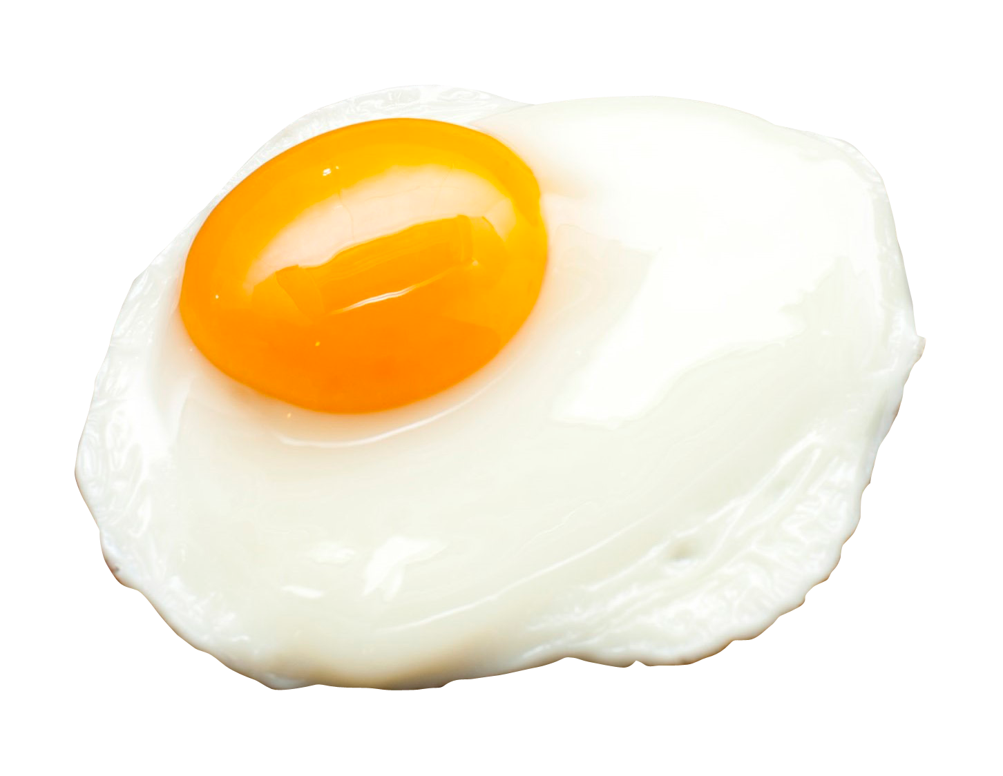 Eggshell Testicle Wave White Half PNG