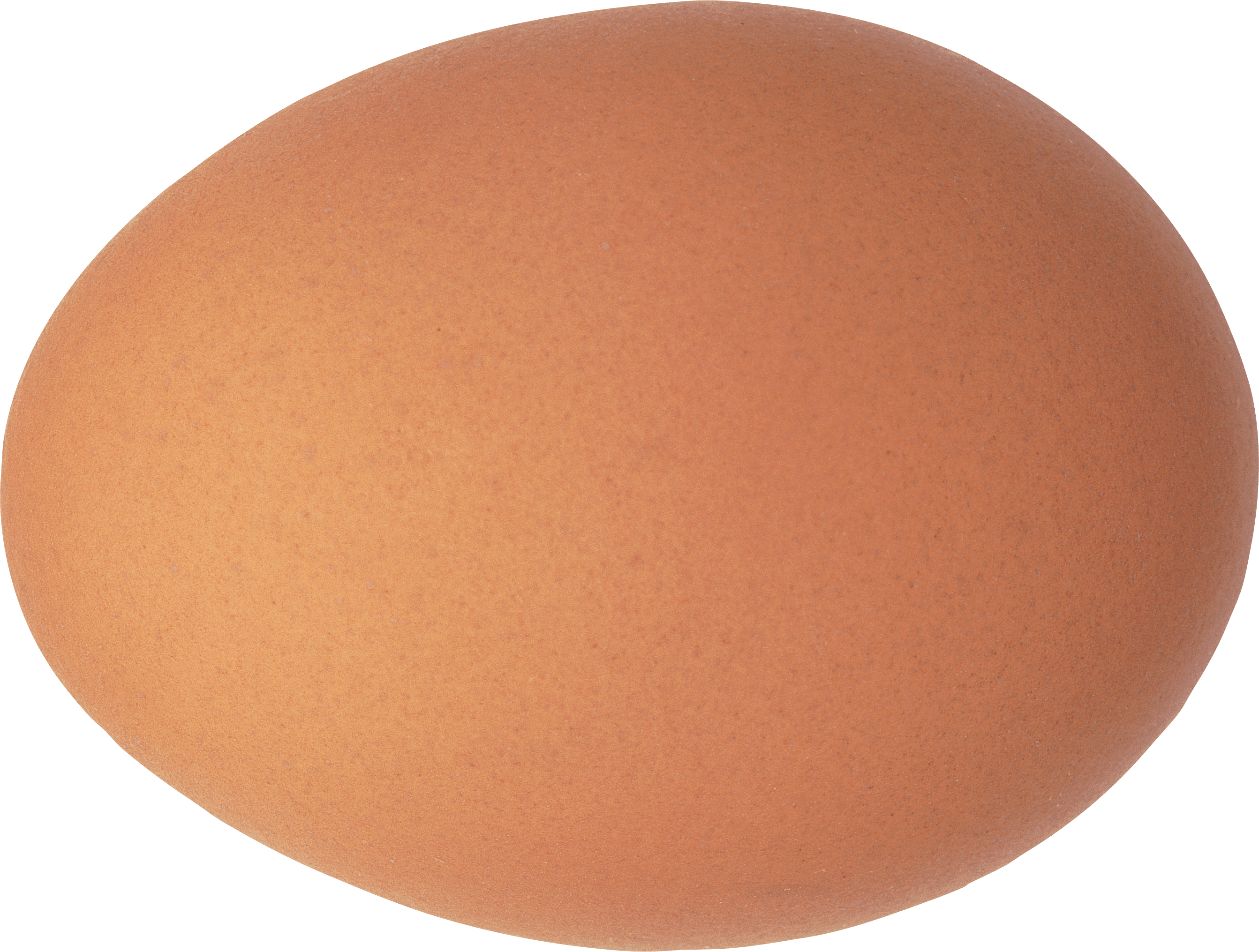 Delicious Ovum Beauty Eggshell Foodie PNG