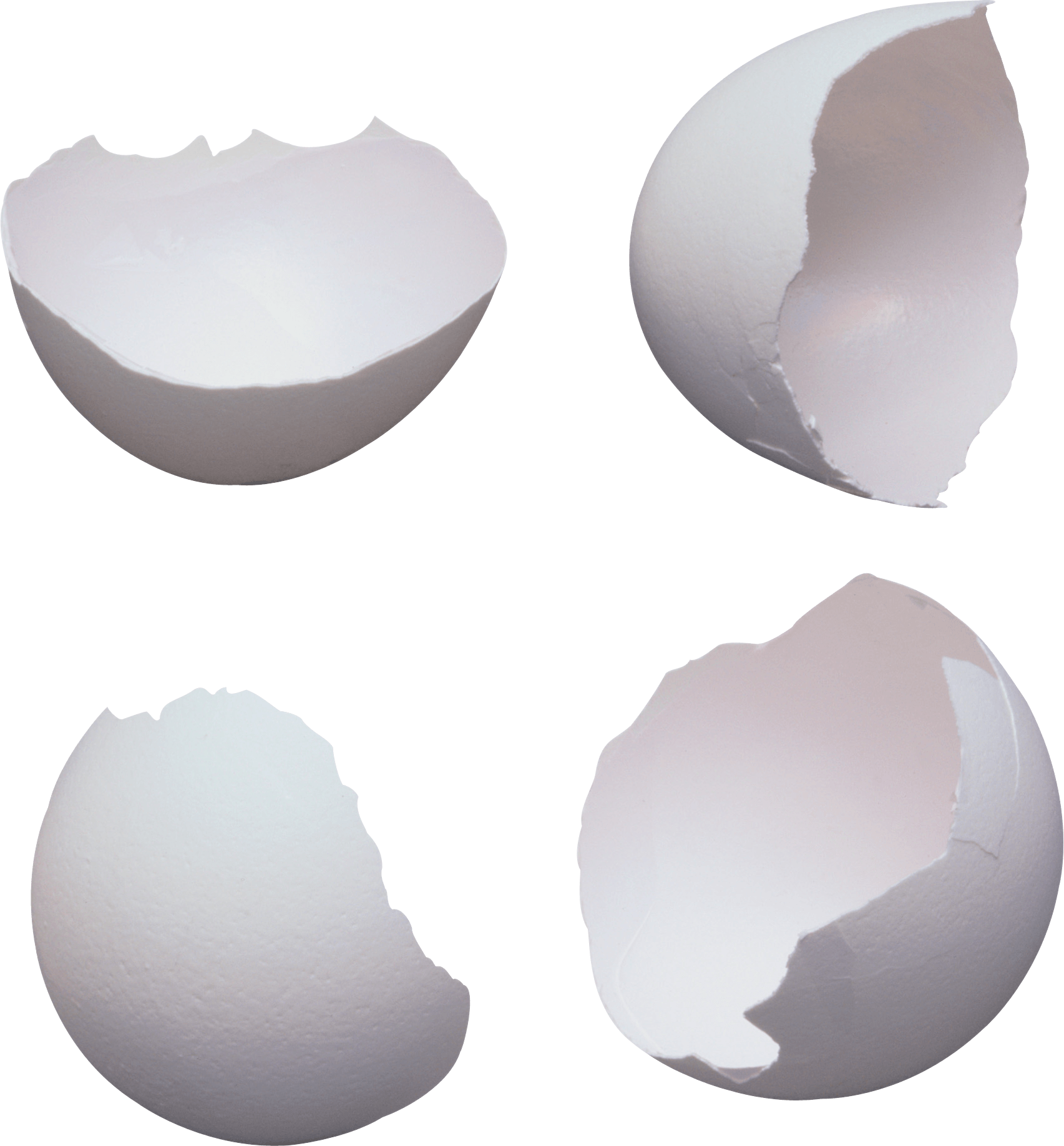 Hen Spawning Dome Wave Egg PNG
