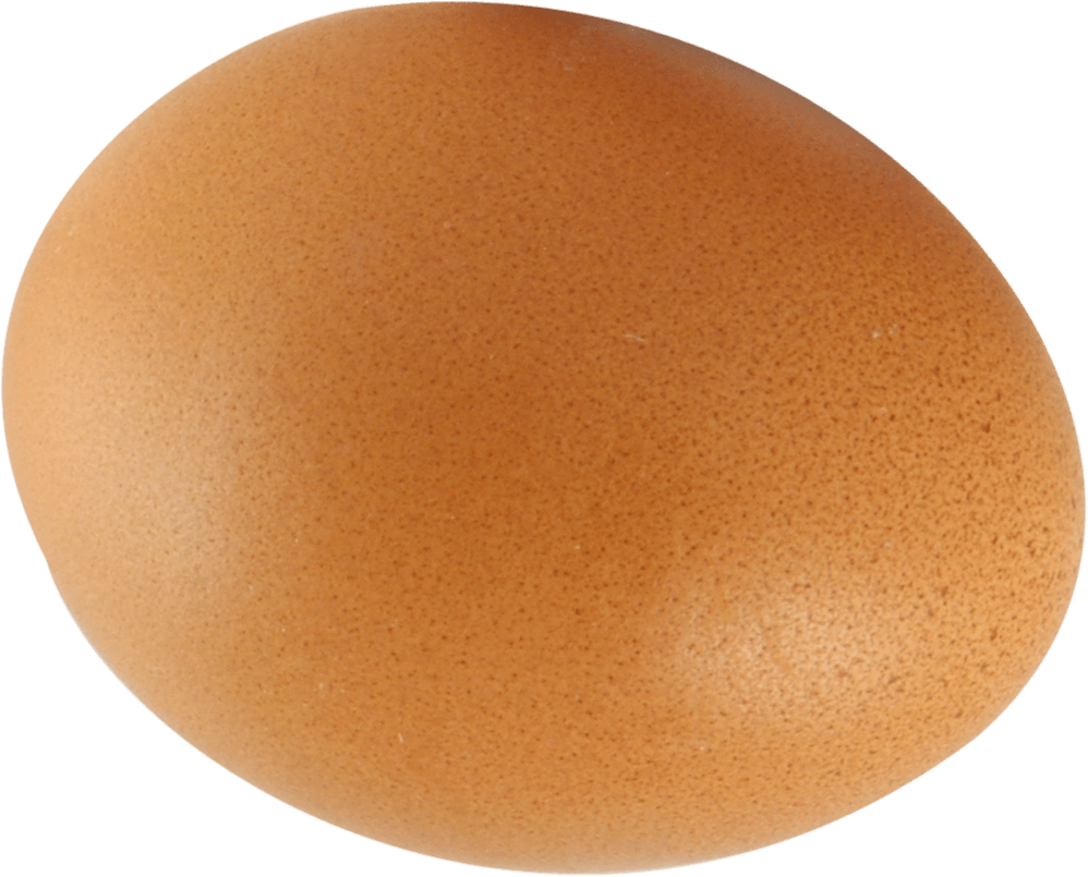 Bacon Egg Style Yum Gonad PNG