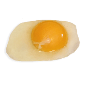 Ova Embryo Today Eggshell Fish PNG