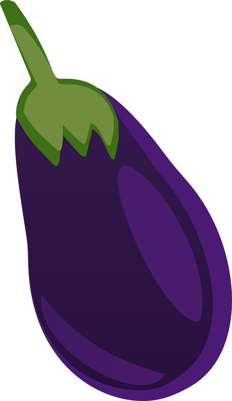 Zucchini Avocado Eggplant Aubergine Chard PNG