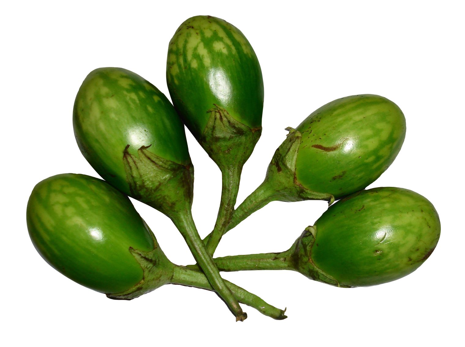 Eggplant Edamame Courgette Cucumber Bunch PNG