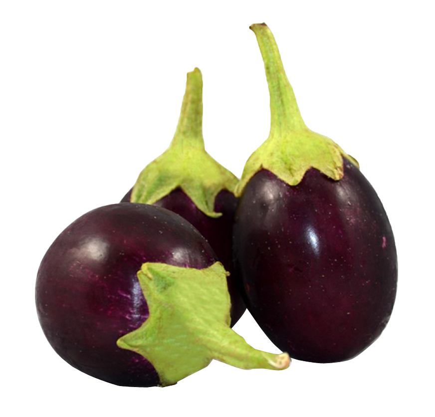 Eggplant Endives Crookneck Celeriac Vegetables PNG