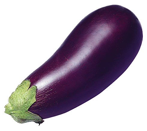 Cucumber Cabbage Radicchio Unpeeled Eggplant PNG