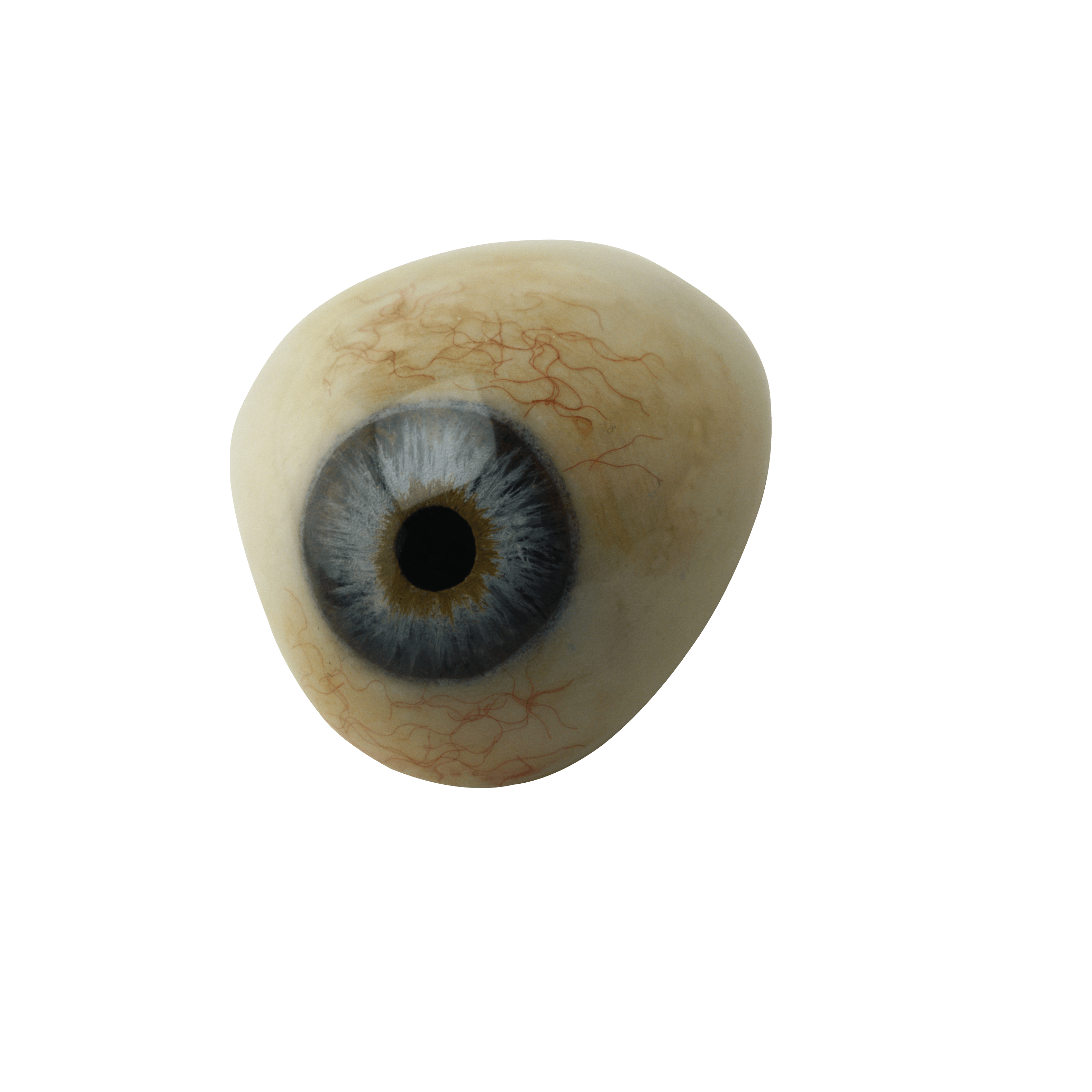 Cute Perspective Ophthalmology Eye Focus PNG