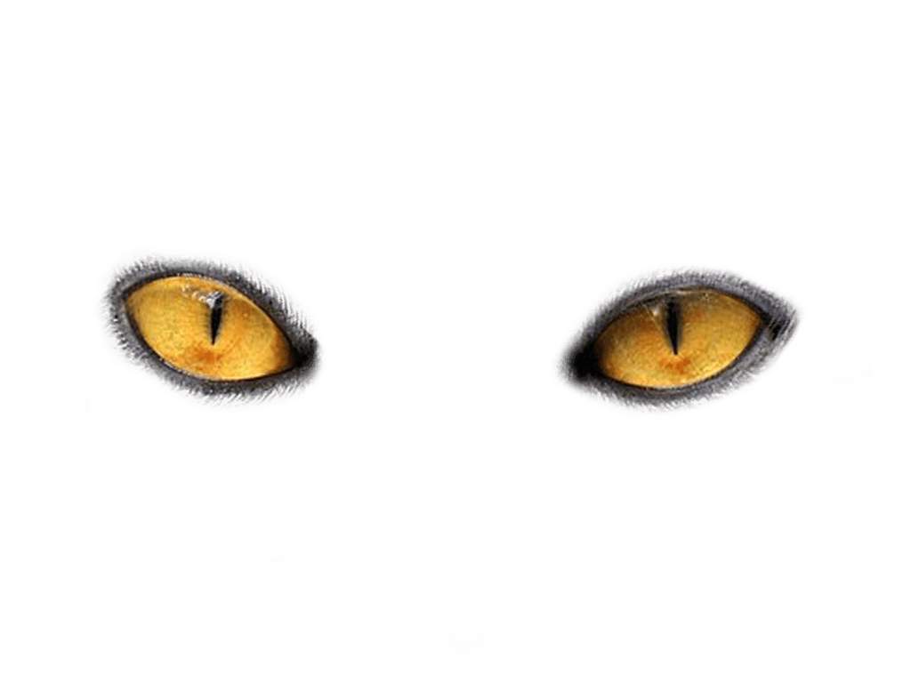 Away Grudge Birthday Lens Gaze PNG