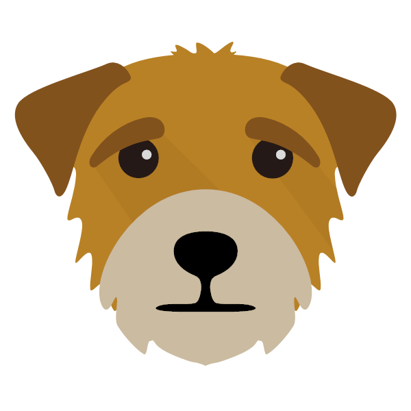 Blonde Professional Dog Whiskers Terrier PNG