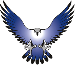Flakes Falcon Hawk Life Bird PNG