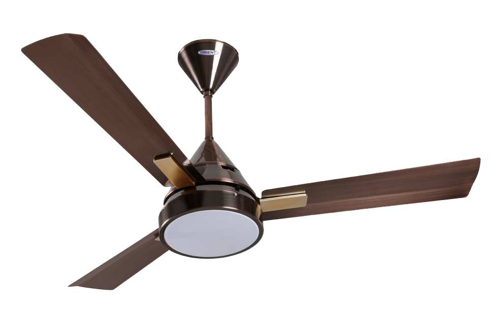 Fan Rooter Advocate Need Objects PNG