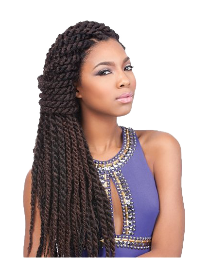 Stylist Epidemic Braids Hairstyle Pandemic PNG
