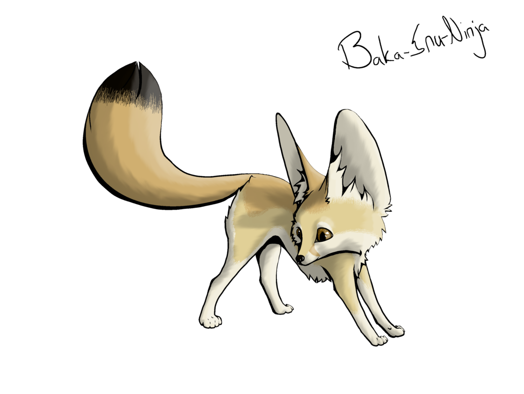 Cannon Family Fox Confound Pet PNG