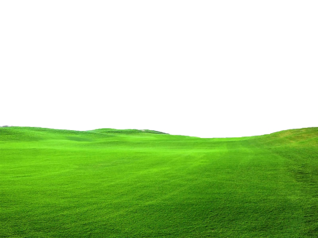 Spot Ambit Front Turf Green PNG