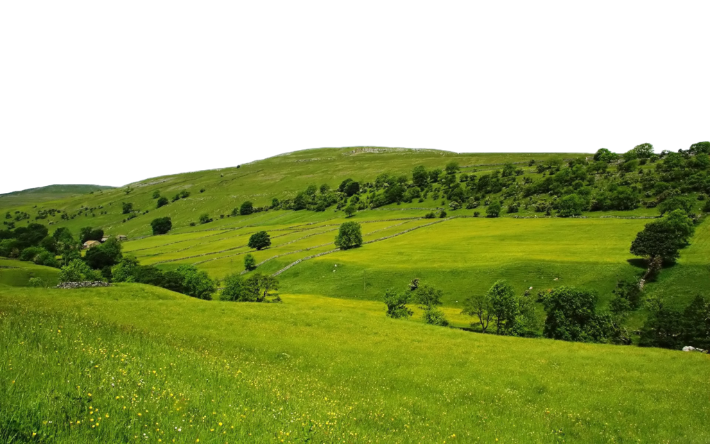 Field Range Front Ground Landscape PNG