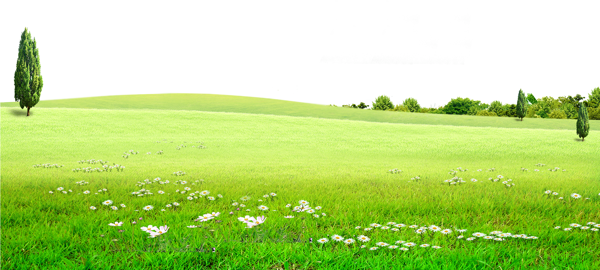 Nature Yard Unit Camps Field PNG