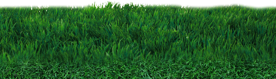 Mat Lawn Discipline Side Grass PNG