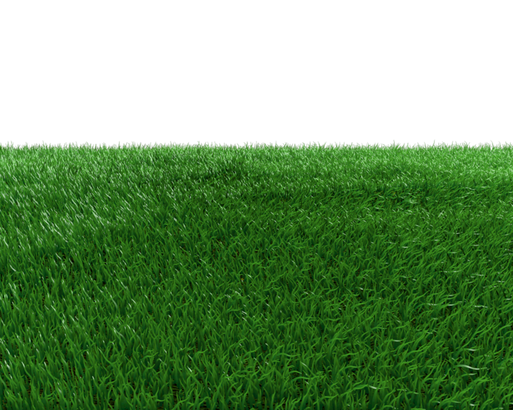 Turf Field Backgrounds Cat Background PNG