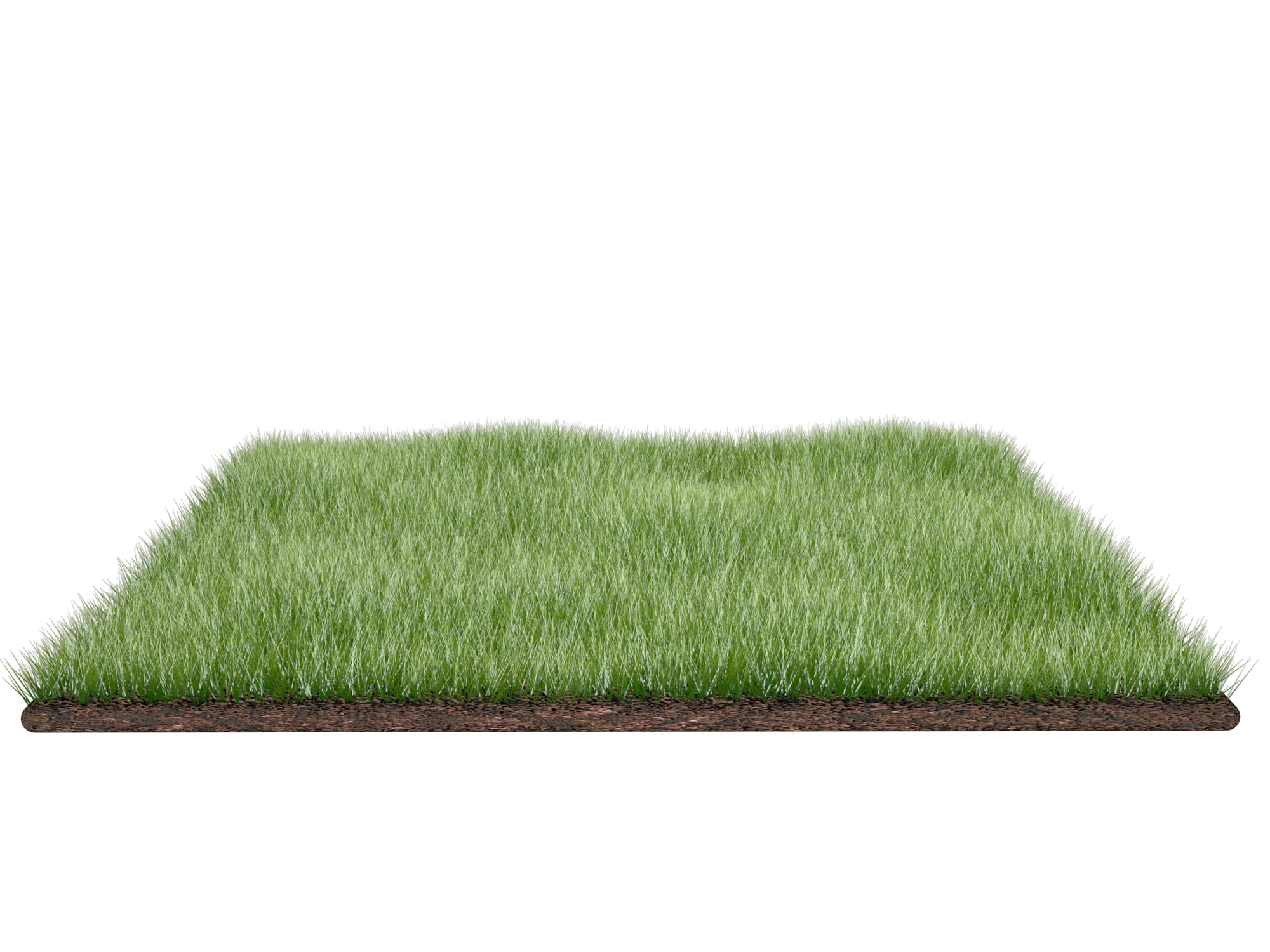 Subject Cornfield Field Funny PNG