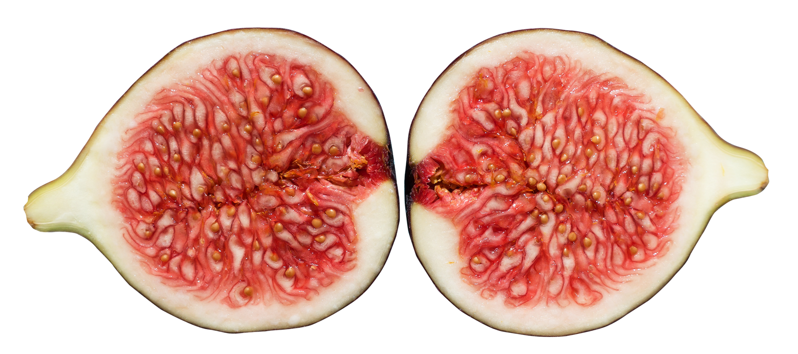 Half File Pomegranate Fig Tomato PNG